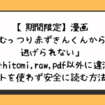 むっつり赤ずきんくんからは逃げられない無料でhitomi,raw,pdf以外に違法サイトを使わず安全に読む方法